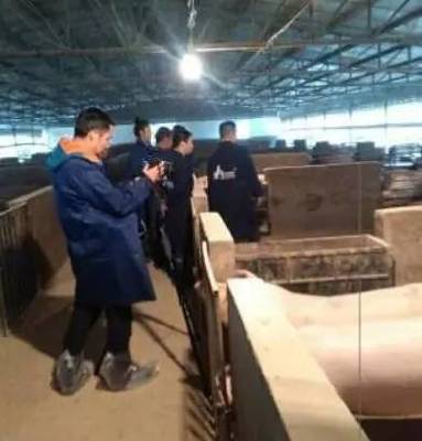 「新聞動態(tài)」‖主要看氣質(zhì)!蓮都&ldquo;土豪豬&rdquo;登上央視!