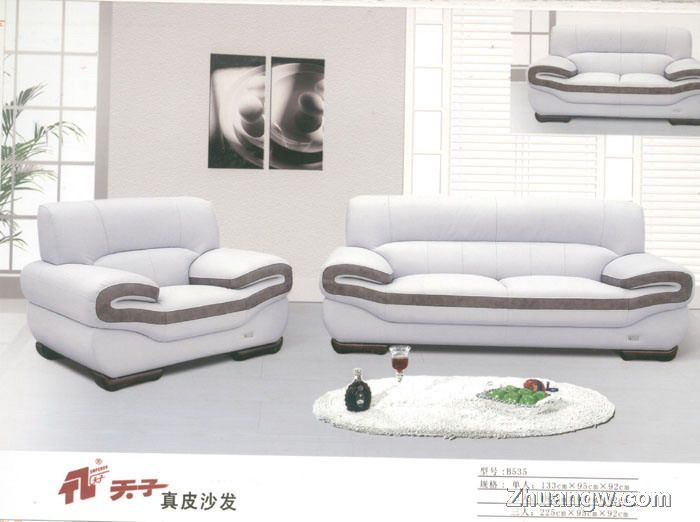 天子沙發(fā)家具圖片(九) 匠心工藝，盡顯客廳典雅風范